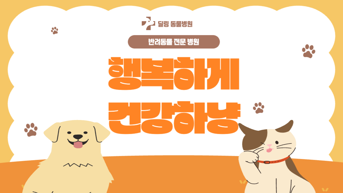 병원 홍보